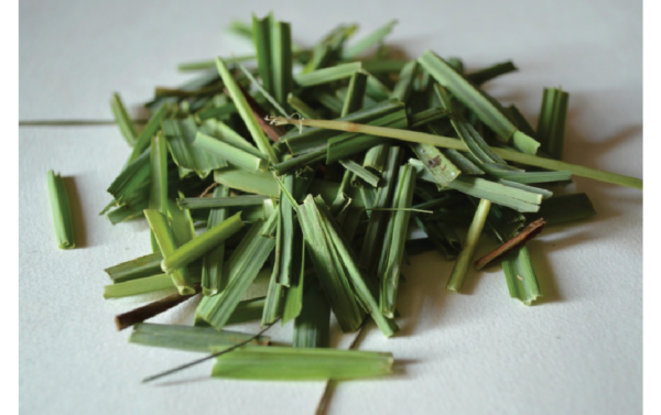 LEMONGRASS LEAVES