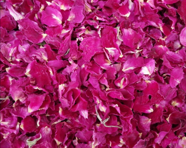 rose petals